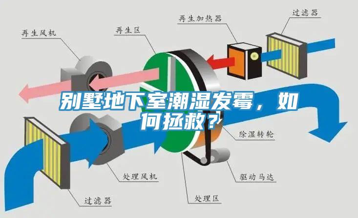 別墅地下室潮濕發(fā)霉，如何拯救？