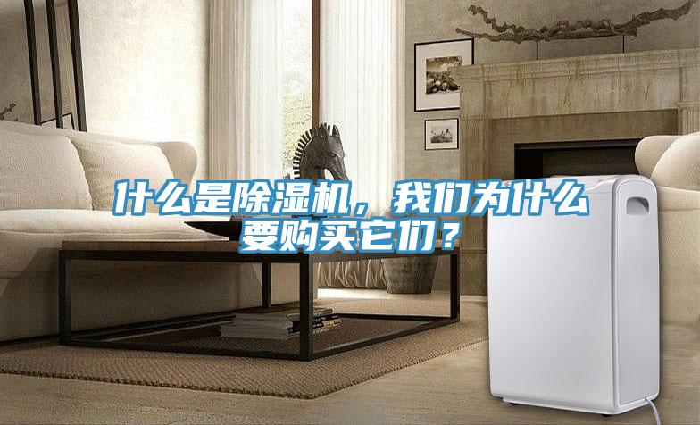 什么是除濕機(jī)，我們?yōu)槭裁匆徺I它們？