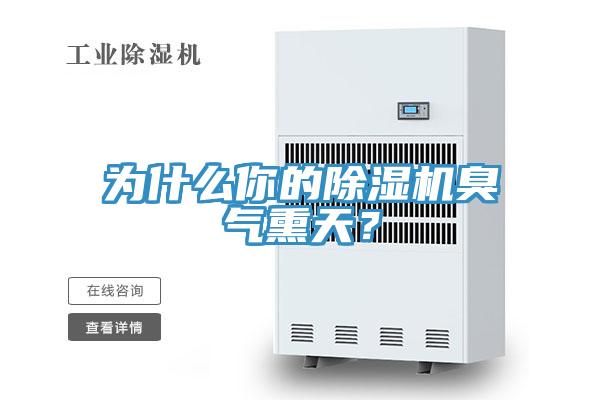 為什么你的除濕機(jī)臭氣熏天？