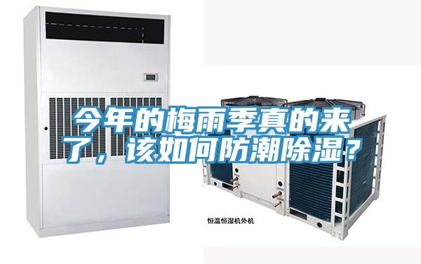 今年的梅雨季真的來了，該如何防潮除濕？