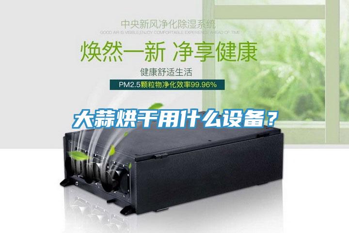 大蒜烘干用什么設(shè)備？