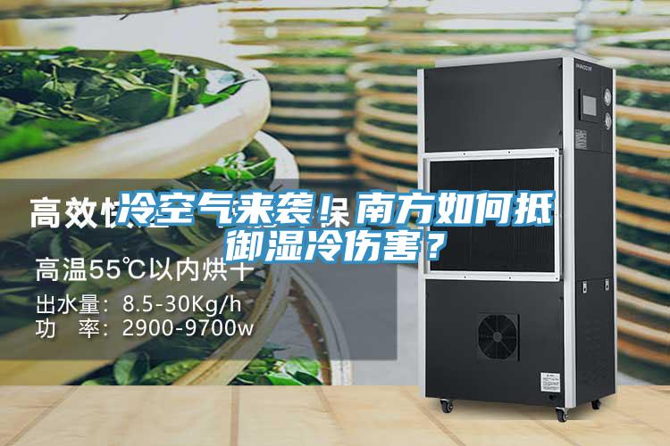 冷空氣來(lái)襲！南方如何抵御濕冷傷害？