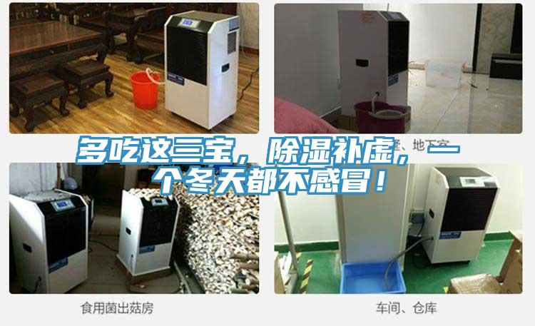 多吃這三寶，除濕補虛，一個冬天都不感冒！