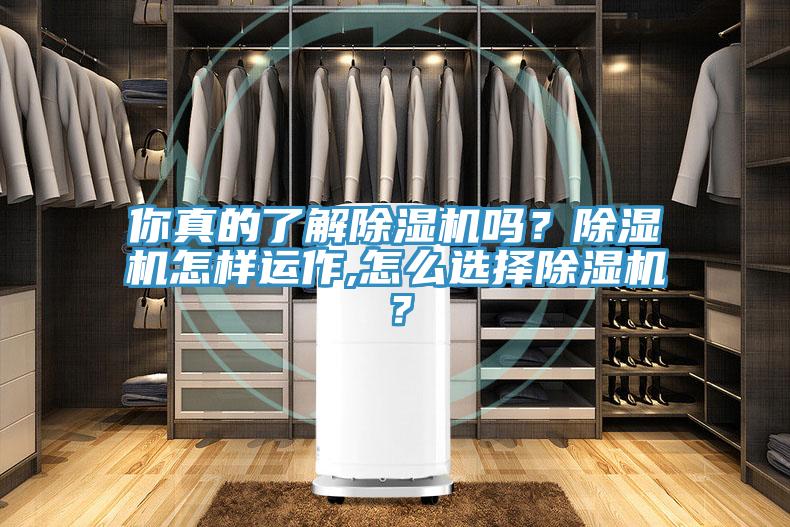 你真的了解除濕機嗎？除濕機怎樣運作,怎么選擇除濕機？
