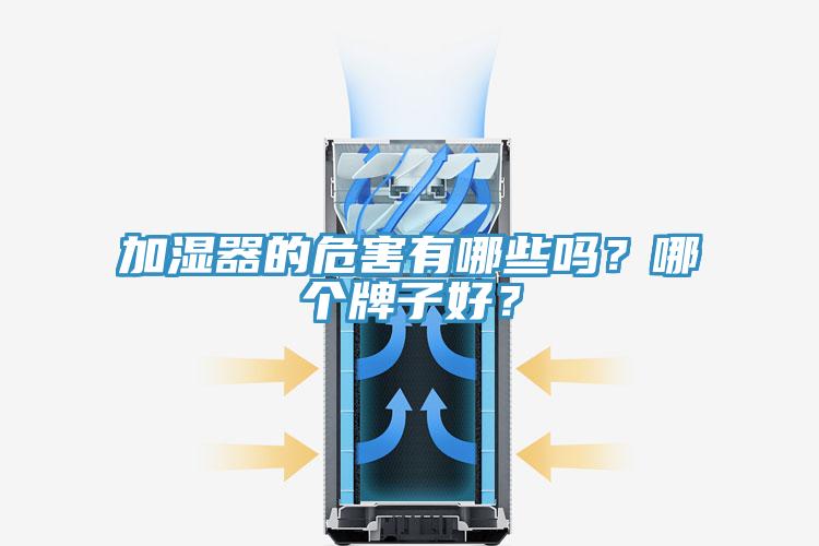 加濕器的危害有哪些嗎？哪個牌子好？