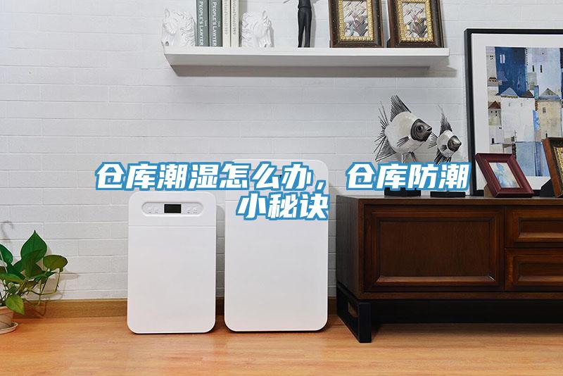 倉庫潮濕怎么辦，倉庫防潮小秘訣