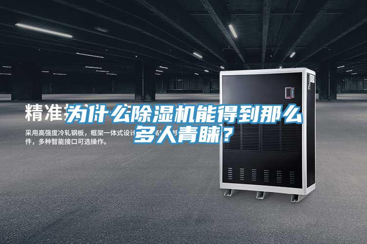 為什么除濕機能得到那么多人青睞？