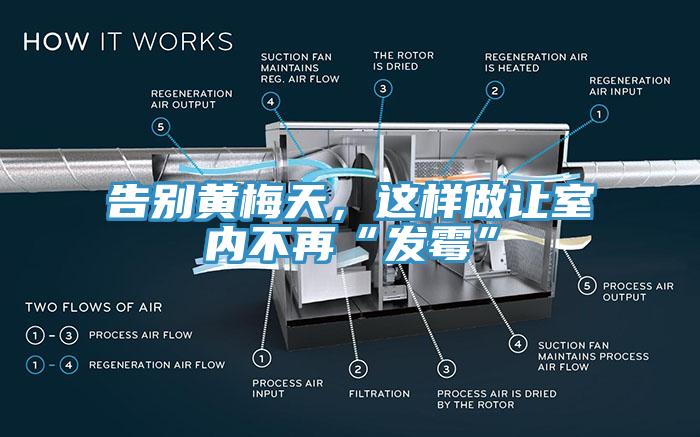 告別黃梅天，這樣做讓室內(nèi)不再“發(fā)霉”