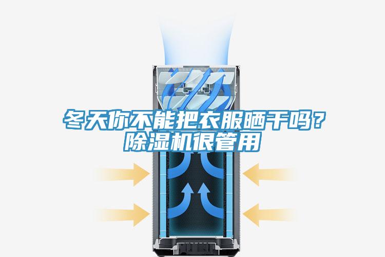 冬天你不能把衣服曬干嗎？除濕機(jī)很管用