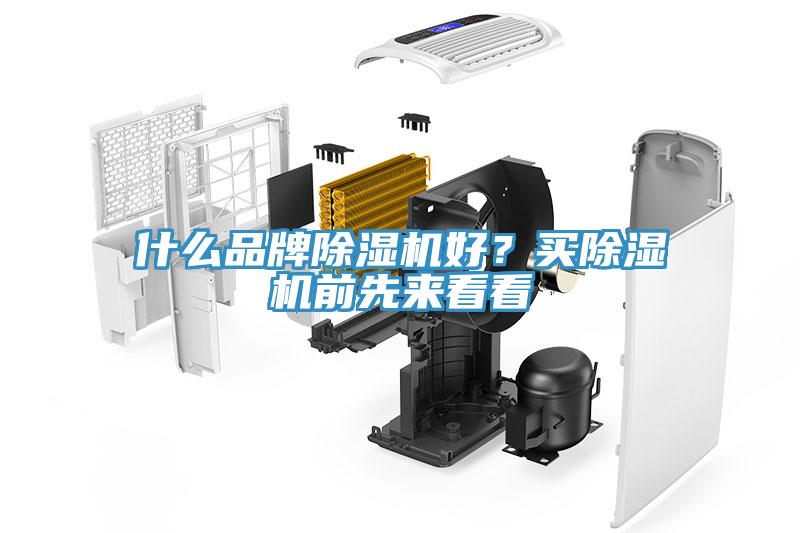 什么品牌除濕機(jī)好？買除濕機(jī)前先來看看