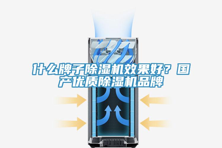 什么牌子除濕機(jī)效果好？國產(chǎn)優(yōu)質(zhì)除濕機(jī)品牌