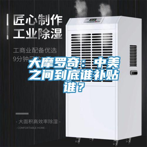 大摩羅奇：中美之間到底誰補貼誰？