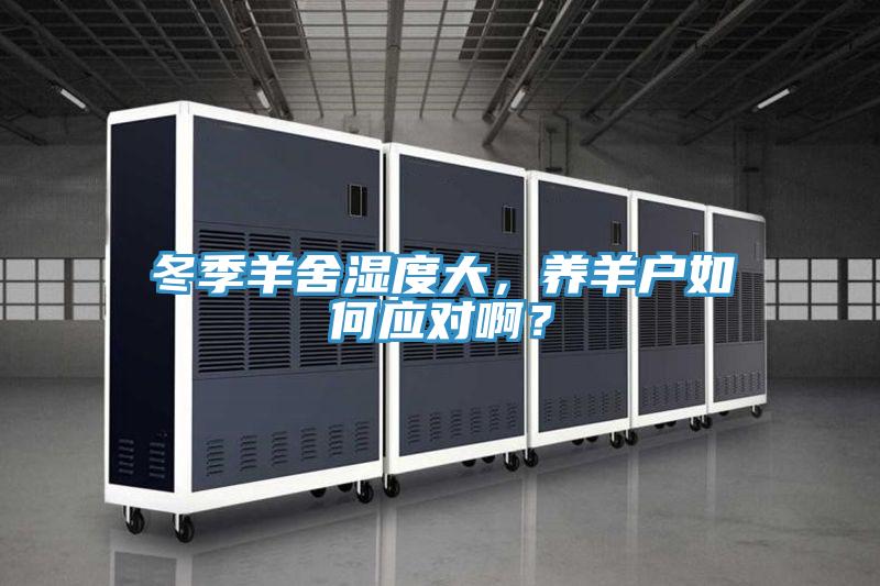 冬季羊舍濕度大，養(yǎng)羊戶如何應(yīng)對(duì)??？
