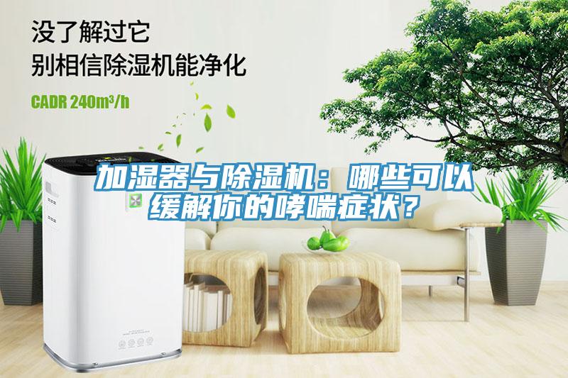 加濕器與除濕機(jī)：哪些可以緩解你的哮喘癥狀？