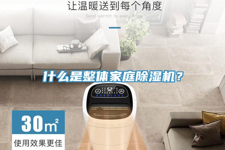 什么是整體家庭除濕機？