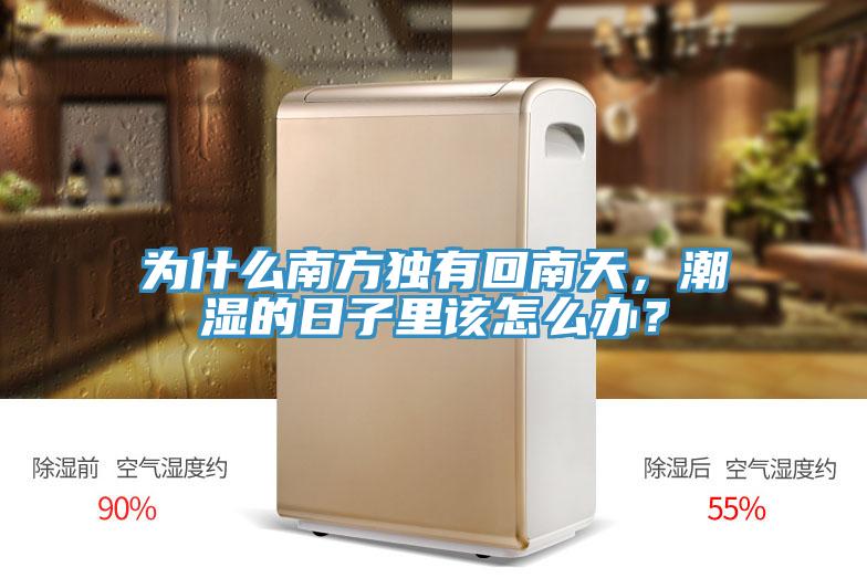 為什么南方獨有回南天，潮濕的日子里該怎么辦？