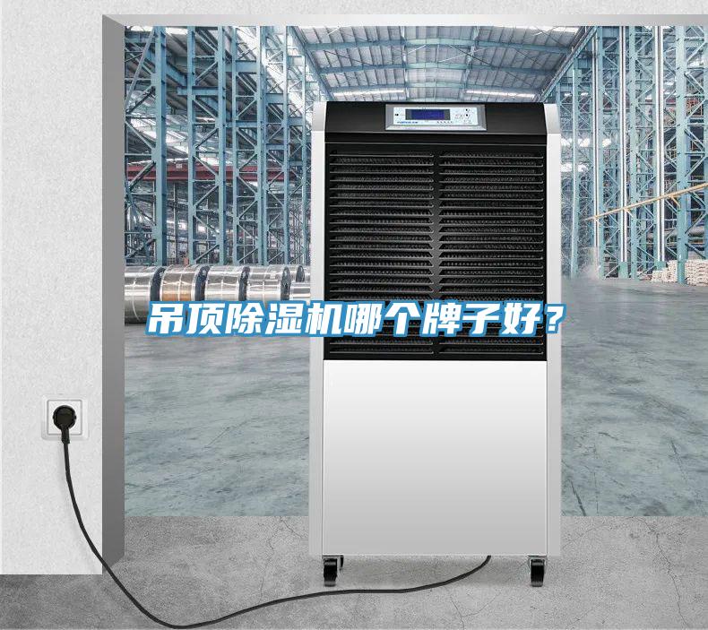 吊頂除濕機哪個牌子好？