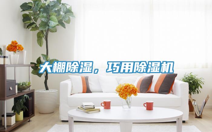 大棚除濕，巧用除濕機(jī)