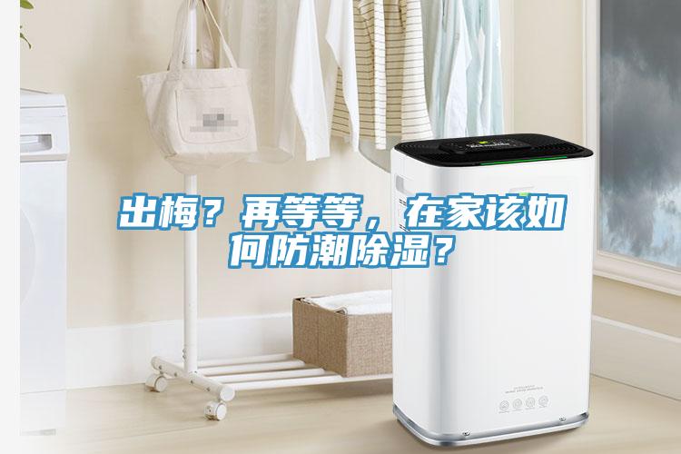 出梅？再等等，在家該如何防潮除濕？