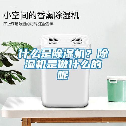 什么是除濕機(jī)？除濕機(jī)是做什么的呢