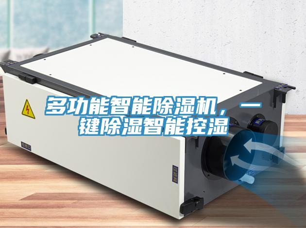 多功能智能除濕機，一鍵除濕智能控濕