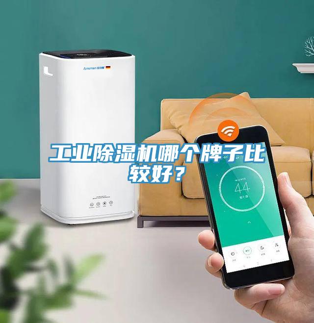 工業(yè)除濕機哪個牌子比較好？
