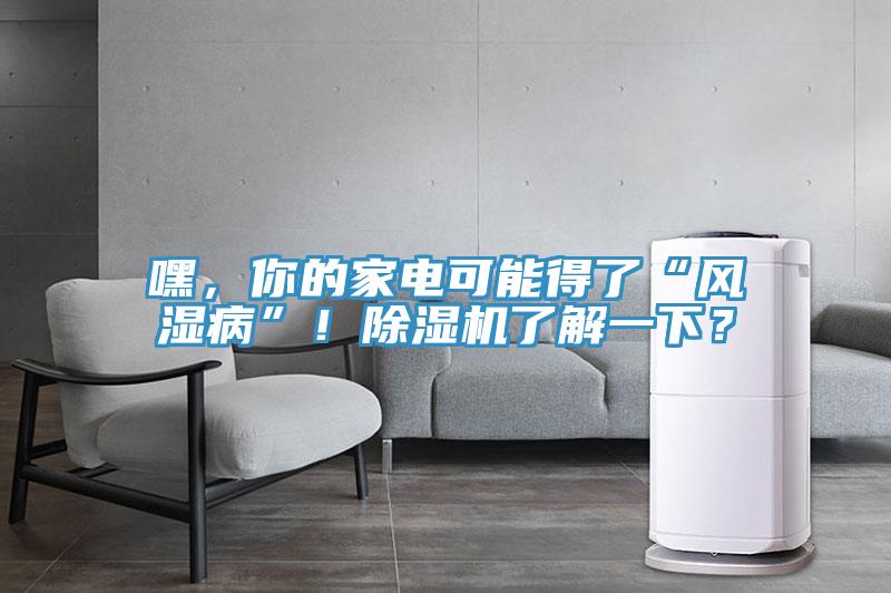 嘿，你的家電可能得了“風濕病”！除濕機了解一下？