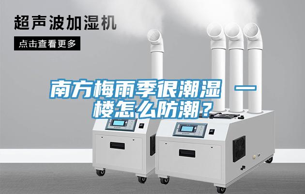 南方梅雨季很潮濕 一樓怎么防潮？