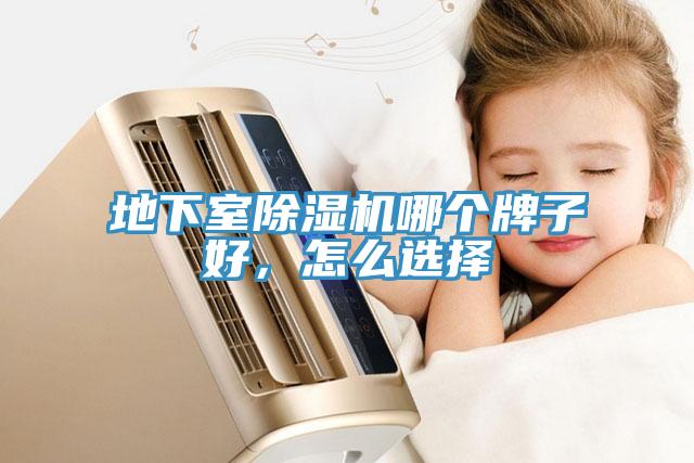 地下室除濕機(jī)哪個(gè)牌子好，怎么選擇