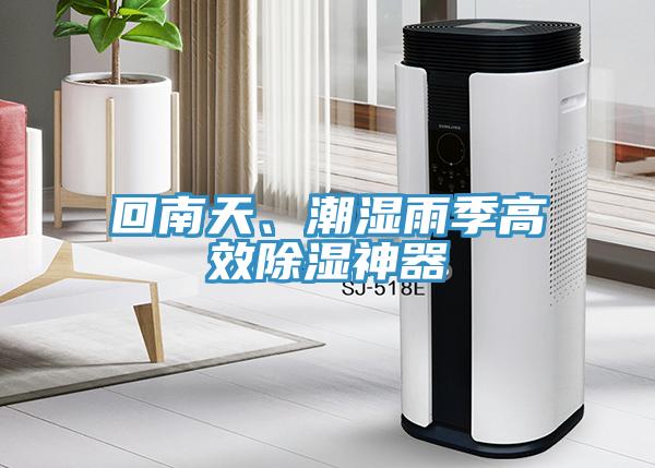 回南天、潮濕雨季高效除濕神器