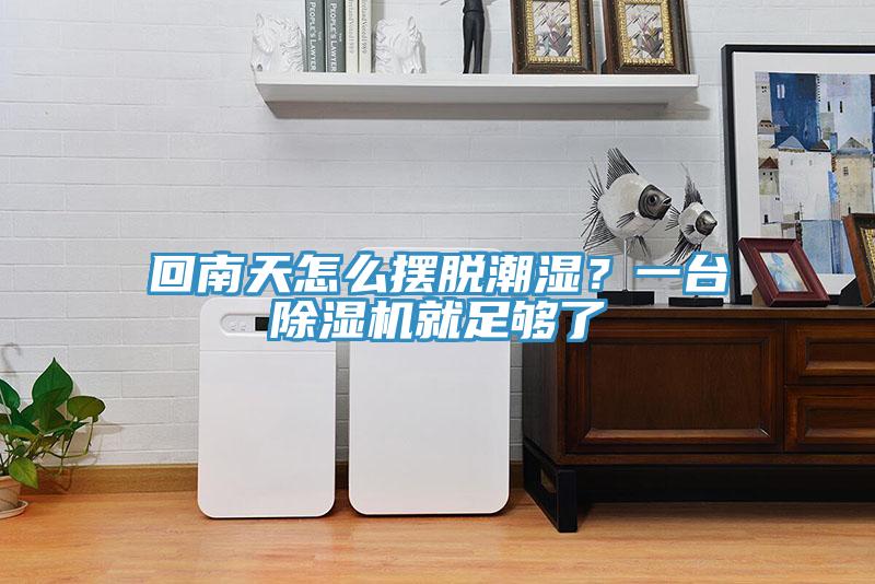 回南天怎么擺脫潮濕？一臺除濕機就足夠了