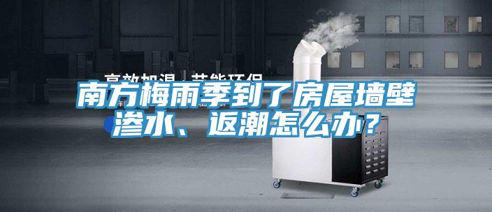 南方梅雨季到了房屋墻壁滲水、返潮怎么辦？