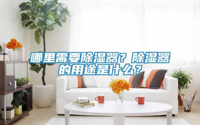 哪里需要除濕器？除濕器的用途是什么？