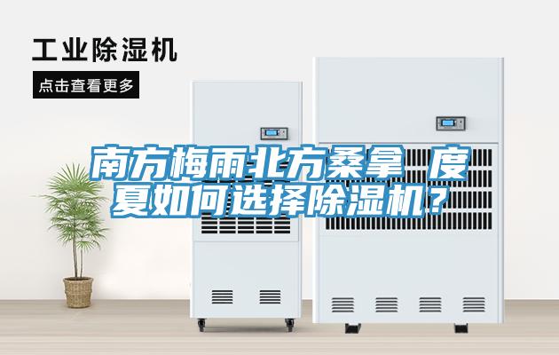 南方梅雨北方桑拿 度夏如何選擇除濕機？