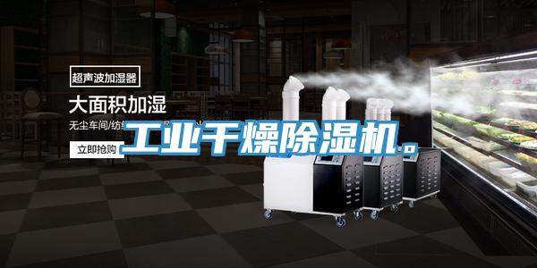 工業(yè)干燥除濕機(jī)。