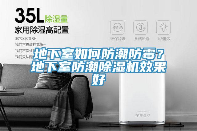 地下室如何防潮防霉？地下室防潮除濕機效果好