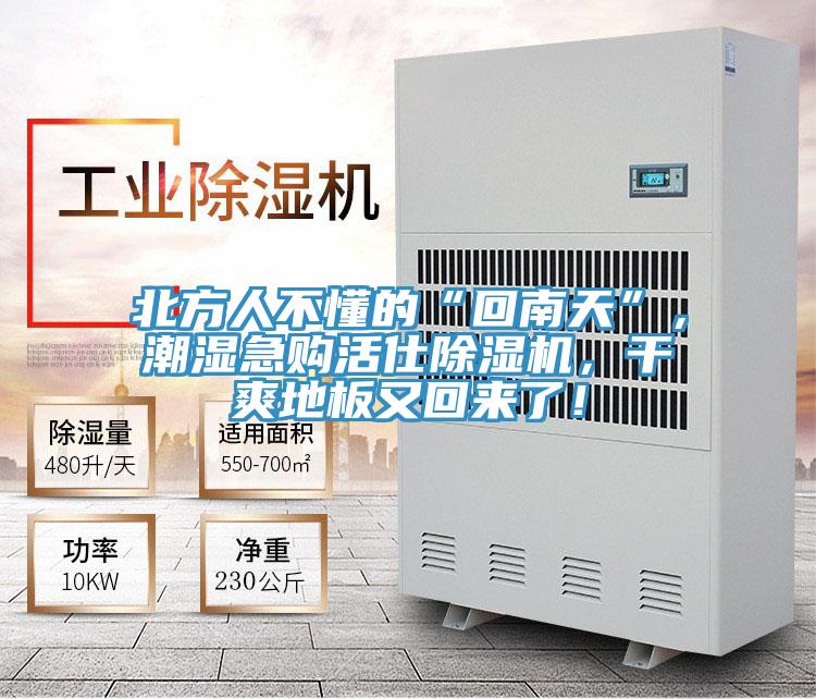北方人不懂的“回南天”，潮濕急購活仕除濕機，干爽地板又回來了！