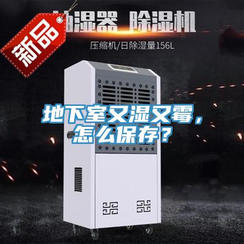 地下室又濕又霉，怎么保存？