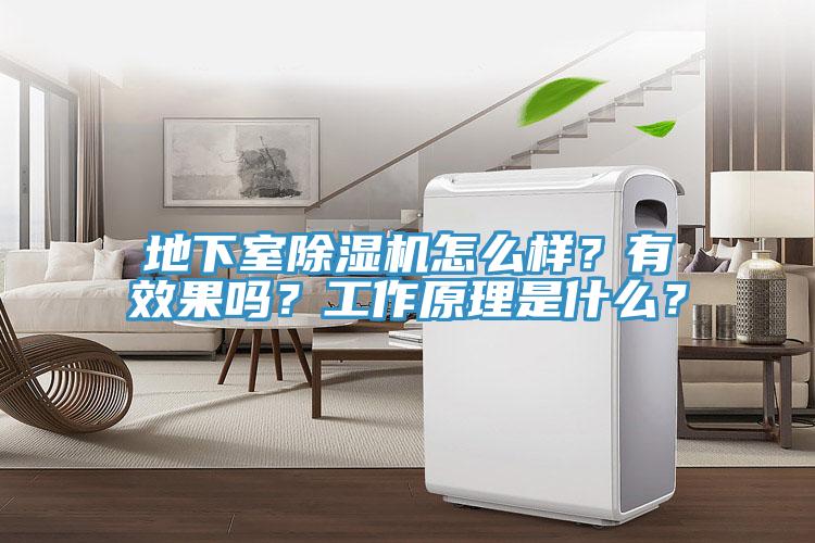 地下室除濕機(jī)怎么樣？有效果嗎？工作原理是什么？