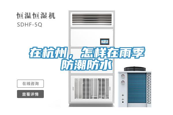 在杭州，怎樣在雨季防潮防水