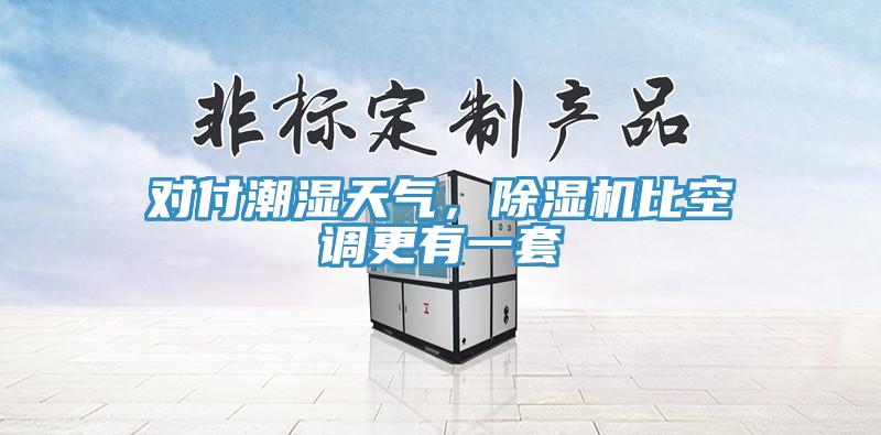 對付潮濕天氣，除濕機比空調(diào)更有一套