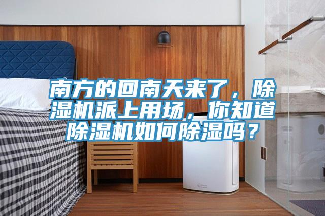 南方的回南天來了，除濕機派上用場，你知道除濕機如何除濕嗎？