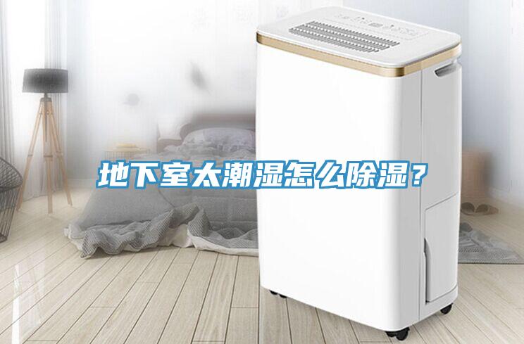 地下室太潮濕怎么除濕？