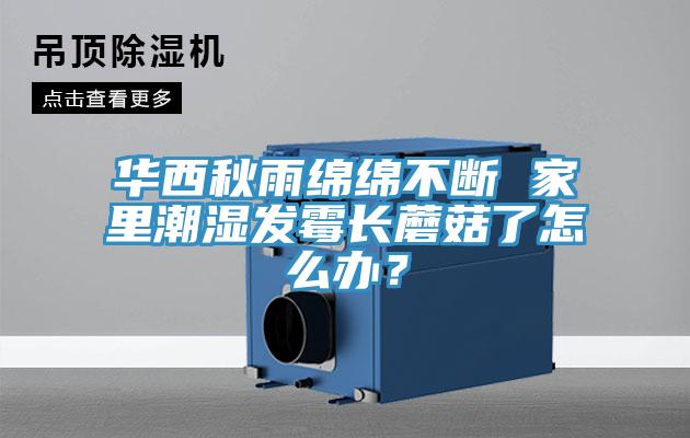 華西秋雨綿綿不斷 家里潮濕發(fā)霉長蘑菇了怎么辦？