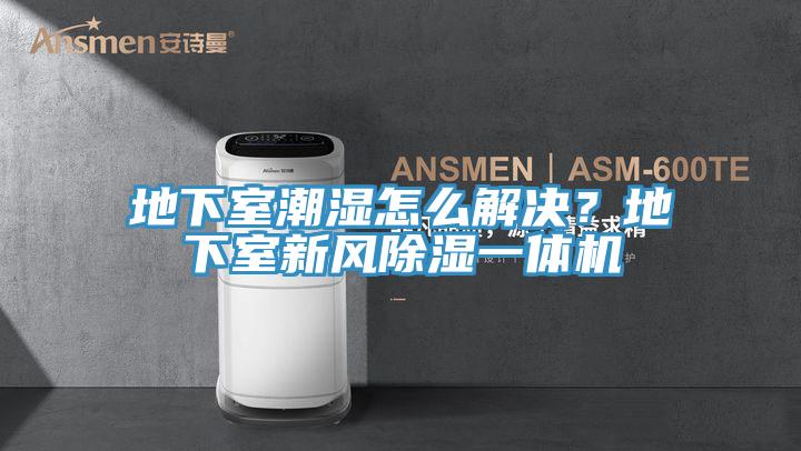 地下室潮濕怎么解決？地下室新風(fēng)除濕一體機