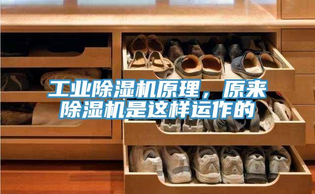 工業(yè)除濕機原理，原來除濕機是這樣運作的