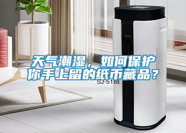 天氣潮濕，如何保護(hù)你手上留的紙幣藏品？