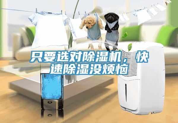 只要選對(duì)除濕機(jī)，快速除濕沒(méi)煩惱