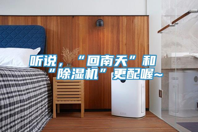 聽說(shuō)，“回南天”和“除濕機(jī)”更配喔~