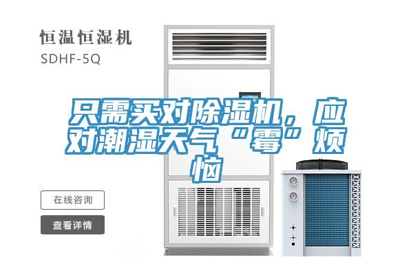 只需買對(duì)除濕機(jī)，應(yīng)對(duì)潮濕天氣“霉”煩惱
